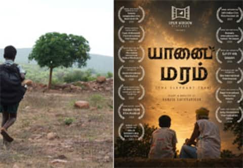 20 சர்வதேச விருதுகள் பெற்ற யானை மரம் : இயக்குனர் பேரரசுவின் கோரிக்கை