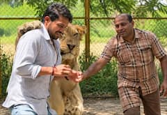 சினிமாவில் நடிப்பதற்காக நிஜ புலியுடன் பயிற்சி எடுக்கும் நடிகர்