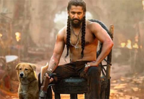 டாக்சிக் பின்னடைவை உடைக்குமா தி பாரடைஸ் ?