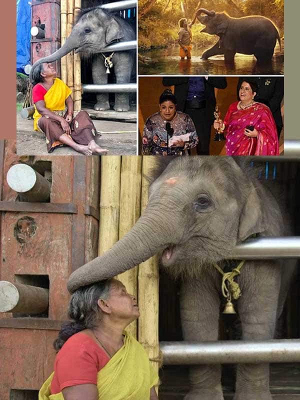 ஆஸ்கர் விருது வென்ற த எலிபென்ட் விஸ்பரர்ஸ்