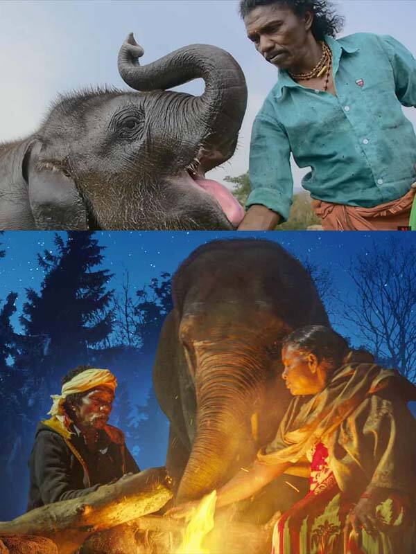 ஆஸ்கர் விருது வென்ற த எலிபென்ட் விஸ்பரர்ஸ்
