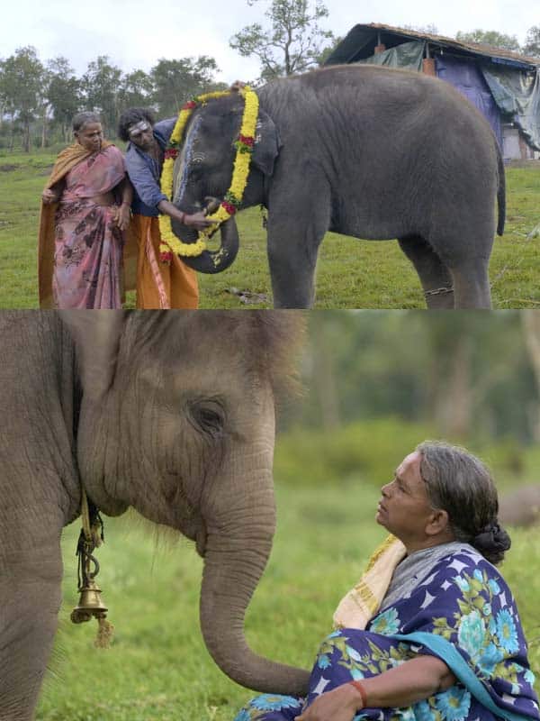 ஆஸ்கர் விருது வென்ற த எலிபென்ட் விஸ்பரர்ஸ்