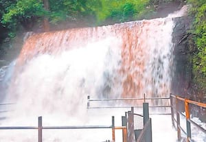  மேகமலையில் கனமழை காரணமாக சுருளி அருவியில் வெள்ளப்பெருக்கு ஏற்பட்டது