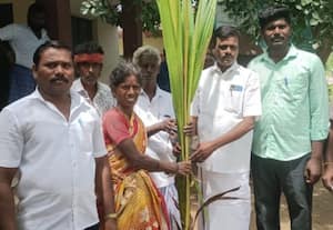  திண்டிவனம் அடுத்த மாம்பாக்கம் கிராமத்தில் பொது மக்களுக்கு அரசு சார்பில் தென்னங்கன்று வழங்கும் நிகழ்ச்சி நடந்தது