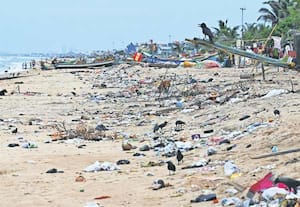  பெசன்ட் நகர் எலியட்ஸ் கடற்கரையை  ஒட்டியுள்ள  ஓடைமாநகர் குப்பம் பகுதியில்  தினமும் குவிக்கப்பட்டு வரும் குப்பை கழிவுகளால் கடற்கரை சீரழிவதுடன் கடலில்  கலக்கும்  அபாயமும் ஏற்பட்டுள்ளது. 