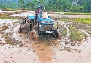 கூடலூர் புளியம்பாறையில் உள்ள கோவை வேளாண் பல்கலை ஒட்டுநெல் ஆராய்ச்சி ...