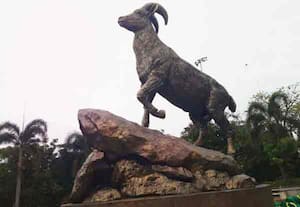  தமிழகத்தின் அடையாளங்களில் ஒன்றான, நீலகிரி வரையாடு சிலை, தலைமை செயலகம் ...