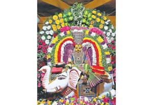  ஆடி அமாவாசையை முன்னிட்டு சிறப்பு அலங்காரத்தில் அருள்பாலித்த ...