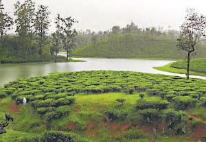 வால்பாறையில் தென்மேற்கு பருவமழை பரவலாக பெய்யும் நிலையில் சோலையாறு அணை ...