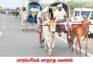  சிவகங்கை மாவட்டம் காரைக்குடி அருகேயுள்ள கே.வேலங்குடி கிராம மக்கள், மதுரை ...