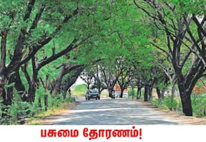 திருப்பரங்குன்றம்-அவனியாபுரம் ரோட்டில் கல்குளம் பகுதியில் இருபுறமும் ...
