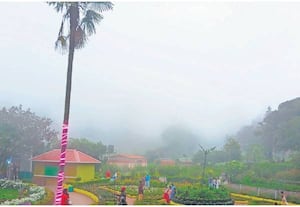  கொடைக்கானல் பிரையன்ட் பூங்காவில் தரையிறங்கிய மேகக்கூட்டம்