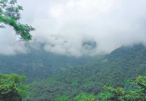 குன்னூர்- மேட்டுப்பாளையம் மலைப்பாதையோரம் பகாசூரன் மலை பகுதிகளில், ...