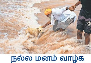 பஞ்சாபில் பெய்து வரும் கனமழையால், அமிர்தசரஸ் அருகே உள்ள அஜ்னலா ...
