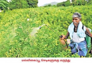 சென்னையின் சில பகுதிகளில் ஆங்காங்கே விவசாயம் நடந்து கொண்டு தான் ...