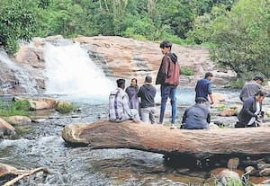 வால்பாறை, சின்னக்கல்லார் அருவி அருகில் குளிக்க தடை இருப்பதால் கண்டு ...