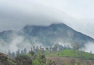 நீலமலையை முத்தமிட்டு சென்ற வெண்மேகங்கள் அனைவரையும் கவர்ந்தது. இடம்: ...