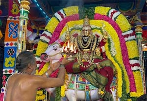  திருவண்ணாமலை அருணாசலேஸ்வரர் கோவிலில் நவராத்திரி விழாவில் திருக்கல்யாண ...