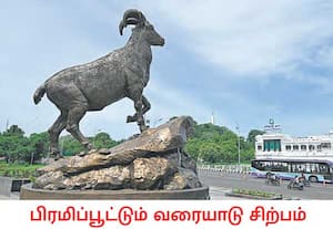தலைமைச் செயலகத்தின் எதிரே உள்ள பூங்காவில் புதிதாக அமைக்கப்பட்டுள்ள, ...