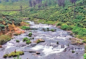  வால்பாறையில், சோலையாறு அணையின் நீர்ப்பிடிப்பு பகுதியின் ரம்மியமான ...