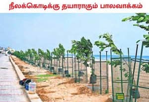மெரினா கடற்கரையை தொடர்ந்து, நீலக்கொடி கடற்கரை சான்றிதழ் பெற, பல்வேறு ...