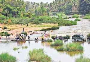 உடுமலை அமராவதி அணையிலிருந்து பாசனத்திற்கு திறக்கப்பட்ட தண்ணீரில், ...