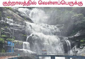 தென்காசி மாவட்டத்தில் பெய்யும் தொடர் மழையால், குற்றாலம் மெயின் ...