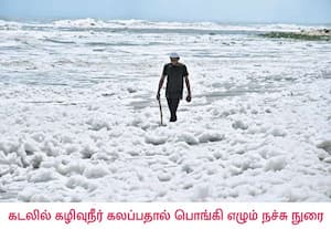 சென்னை மெரினா கடற்கரையில் கடல் மேற்பரப்பில் பொங்கியெழும் நுரையில் ...