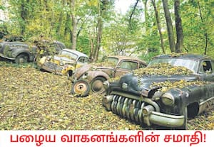 ஐரோப்பிய நாடான ஜெர்மனியை சேர்ந்த மைக்கேல் புரோயேலிச் என்பவர் 2000ம் ...