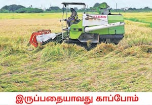திருநெல்வேலியை சுற்றியுள்ள பகுதிகளில் கனமழை காரணமாக, அறுவடைக்கு தயாராக ...