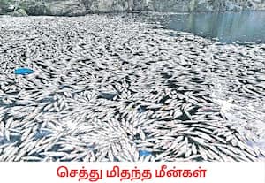 சேலம் மாவட்டம் மேட்டூர் அணை 16 கண் மதகில் அக் 27ல் உபரி நீர் திறப்பை ...