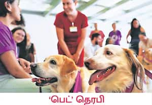 தென் அமெரிக்க நாடான பிரேசிலின் தலைநகர் பிரசிலீயாவில் உள்ள ...