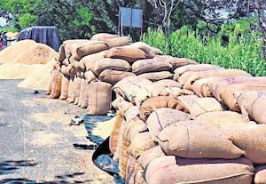 திருச்சி மாவட்டத்தில் கொள்முதல் செய்த நெல்லை எடுத்துச் செல்ல லாரிகள் ...