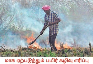 பஞ்சாபின் பாட்டியாலா புறநகரில் நெல் அறுவடைக்கு பின் விவசாயி தன் வயலில் ...