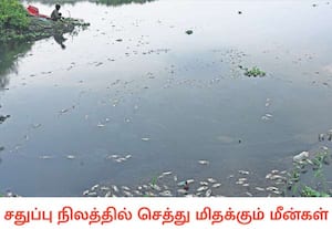 அதிக அளவு பிளாஸ்டிக் கழிவுகள் நிறைந்து காணப்படும் பள்ளிக்கரணை சதுப்பு ...