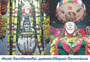 ஐப்பசி மாத பவுர்ணமியை முன்னிட்டு, சென்னை பெசன்ட் நகர் ரத்தனகிரீஸ்வரர் ...