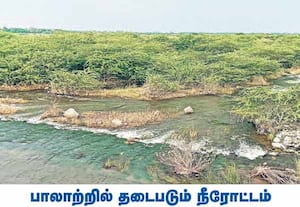 காஞ்சிபுரம் பழவேரி பாலாற்று படுகையில், நீரோட்டத்திற்கு தடை ...