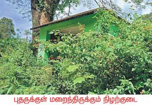 ஊட்டி பந்தலூரில் இருந்து சேரம்பாடி செல்லும் சாலையில், சேரம்பாடி ...