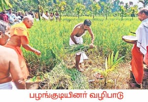 நீலகிரி மாவட்டம் கூடலூர் புளியம்பாறை பகுதியில் நடந்த அறுவடை திருவிழாவை ...