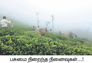 நீலகிரி மாவட்டம் குன்னூர் லேம்ஸ் ராக், டால்பின் நோஸ் காட்சி முனை ...