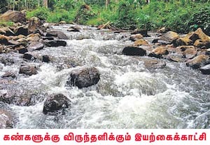 நீலகிரி மாவட்டம், பந்தலூர் அருகே கிளன்ராக் வனப்பகுதி வழியாக பாய்ந்து ...