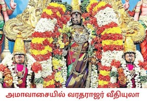 கார்த்திகை மாத அமாவாசையையொட்டி, ஸ்ரீதேவி, பூதேவியருடன் மலர் ...