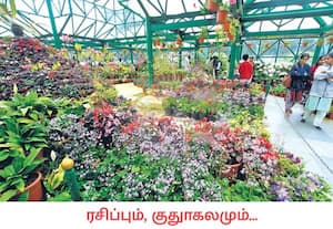 ஊட்டியில் இரண்டாவது சீசன் நிறைவடையும் நிலையில், அரசு தாவரவியல் ...