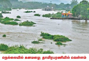 தமிழகத்தில் வடகிழக்கு பருவமழை தீவிரமடைந்துள்ளது. மேற்கு தொடர்ச்சி மலை ...