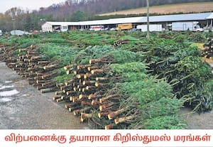 அடுத்த மாதம் கொண்டாடப்பட உள்ள கிறிஸ்துமஸ் பண்டிகையையொட்டி, ...