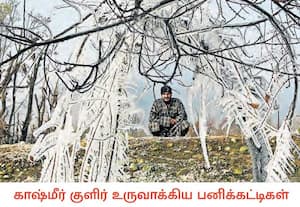  ஜம்மு-காஷ்மீரில் கடுங்குளிர் காலம் துவங்கிவிட்டது. இதனால் மரங்களில் ...
