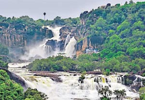 மேற்கு தொடர்ச்சி மலைப் பகுதிகளில் பெய்து வரும் கனமழையால், பாபநாசம் அணை ...