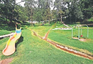 ஊட்டி கலெக்டர் அலுவலகம் அருகே உள்ள நகராட்சி டேவிஸ் பூங்கா ...