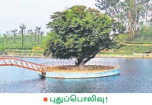 வால்பாறை நகராட்சி படகு இல்லத்தில் தேங்கியிருந்த கழிவுகள் அகற்றப்பட்டு, ...