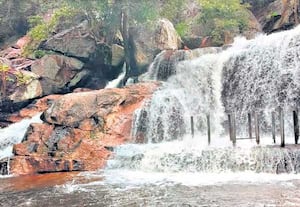  உடுமலை அருகே திருமூர்த்திமலை பஞ்சலிங்கம் அருவியில் வெள்ளப்பெருக்கு ...